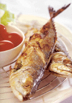 platooyangneoy.gif (146695 bytes)
